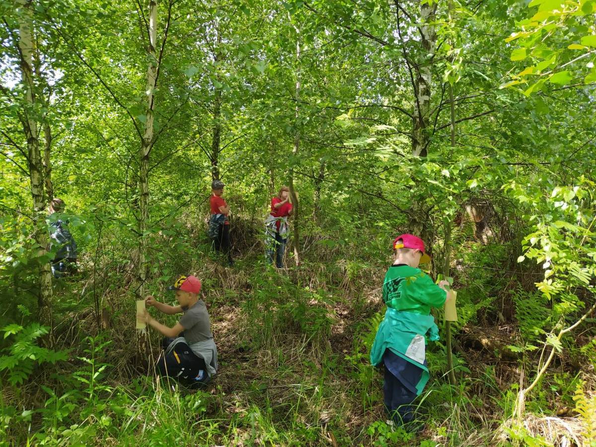 Ve škole se nesedí jen v lavici - vycházka do lesa s aktivitami. :)