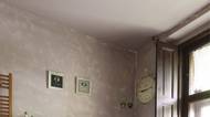Galerie: Na návštěvě po 17 letech