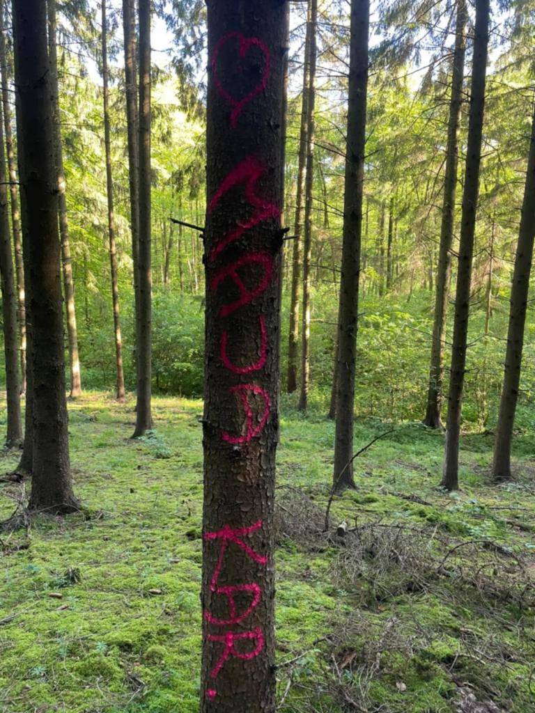 Dovoz hodové máje 24. 5. 2025