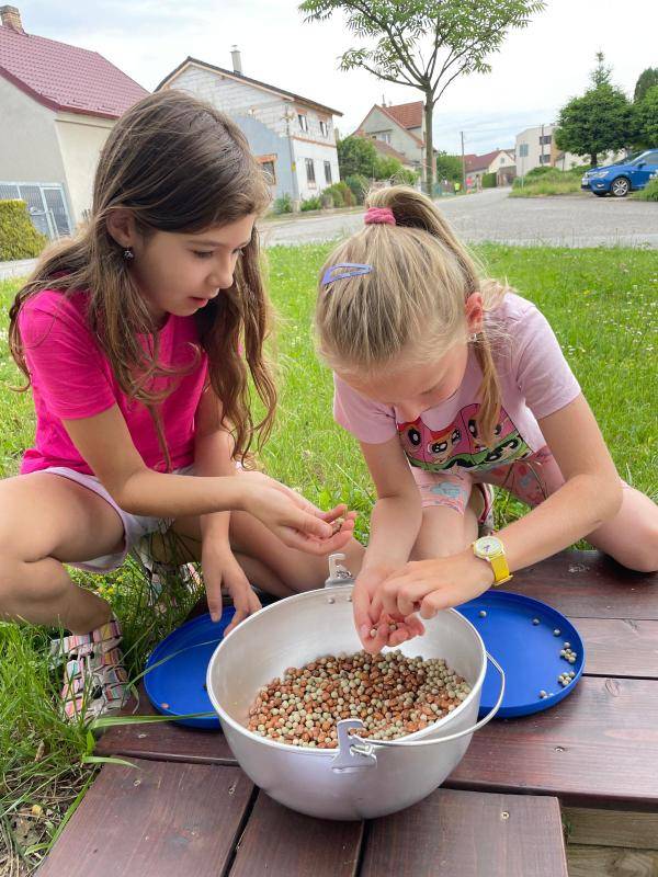 Dětský den pro děti připravil Pionýrská skupina DRACI