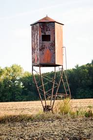 Pečeňady