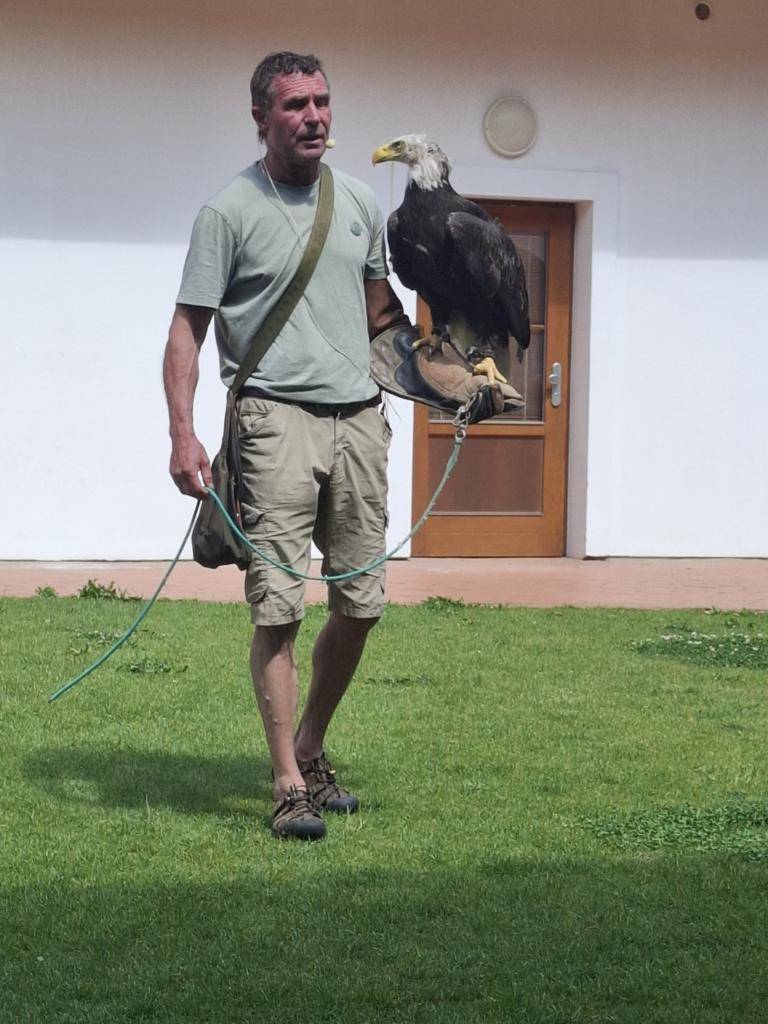 V tento den jsme si společně s dětmi užili krásné dopoledne na nádvoří základní školy. Bylo zajímavé a zároveň i zábavné sokolníky sledovat a vyslechnout si zajímavosti o jejich životě.