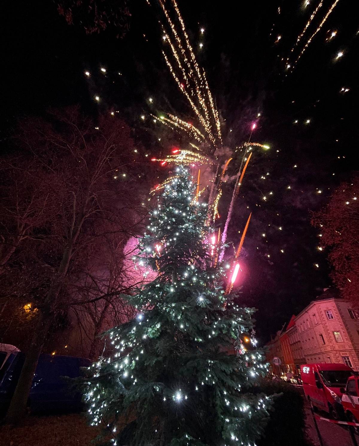 Město Ústí nad Labem poptává u občanů Ústí nad Labem a přilehlých obcí vánoční strom, který bude o letošním adventu zdobit Lidické náměstí.