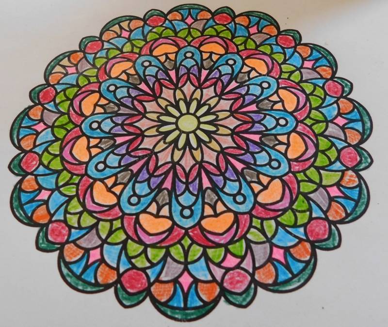 12. června 2025 jsme měly klub opět na hale a před halou.