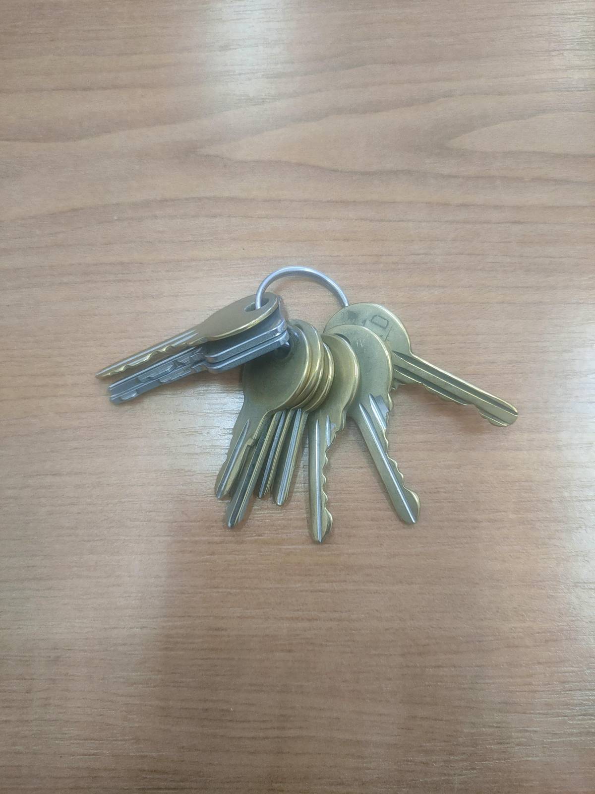 V kanceláři OÚ se nacházejí nalezené klíče. Majitelé si je můžou vyzvednout každou středu od 17:00 - 18:00, nebo po domluvě na telefonu 603 294 099.