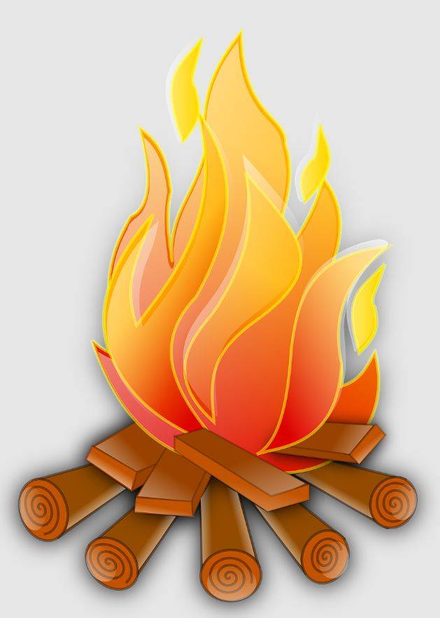 Nejčastější příčinou požárů v přírodě je lidská nedbalost.  Odhozený nedopalek cigarety, neuhašené ohniště nebo zakázané pálení odpadu. Právě tyto banální prohřešky každoročně způsobí stovky požárů v lesním a přírodním prostředí.