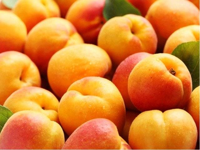 Prodejce z Jižní Moravy nabízí meruňky dnes 12:30 - 12:50 na městečku.🍑