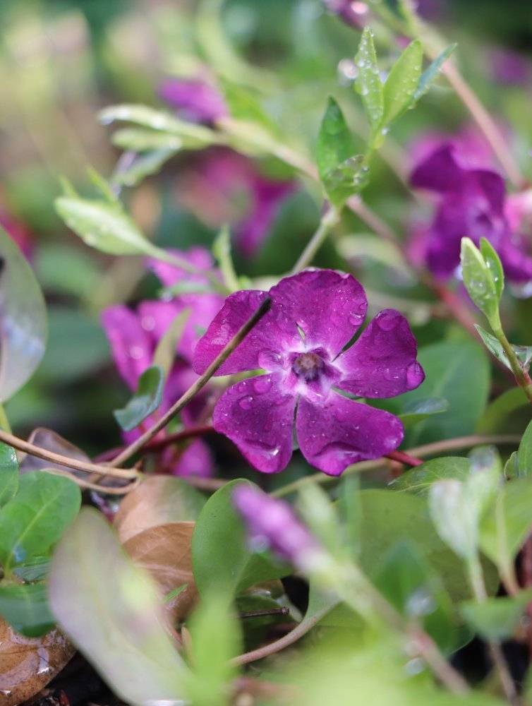 Zkouška systému Munipolis