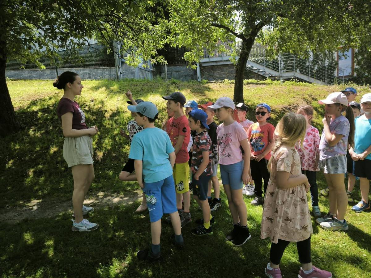 Ve středu 11. června se děti ze školní družiny vydaly na výlet do záchranné stanice Centrum Ochrany fauny Hrachov.