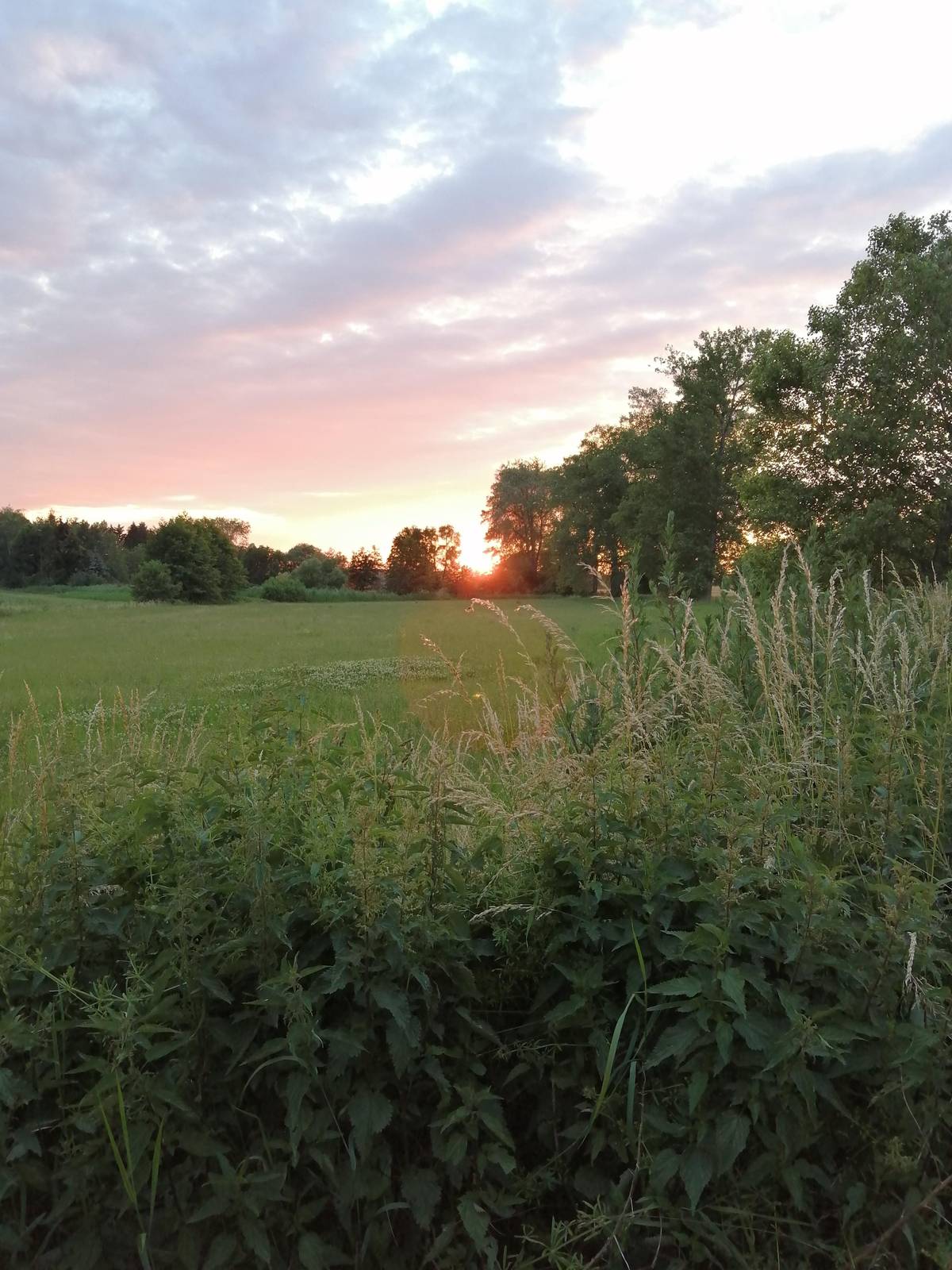 Prázdninové úřední hodiny obecního úřadu a otevírací doba knihovny.   Na obecním úřadě i v knihovně nás zastihnete během prázdnin vždy v čase 19 – 20 hodin, v tyto pondělky 7.7., 21.7., 4.8. a 18.8. Pondělím, dne 1.9.2025 přecházíme opět do běžného týdeního režimu.                              Přejeme pěkné léto.