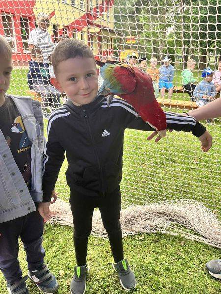 Papagáje v škôlke – Návšteva z Arakova!   Dnešný deň bol pre deti v škôlke výnimočný – navštívili nás krásne, farebné a najmä prítulné papagáje!   Deti sa mohli s papagájmi fotiť, kŕmiť ich a dozvedeli sa o nich rôzne zaujímavosti.