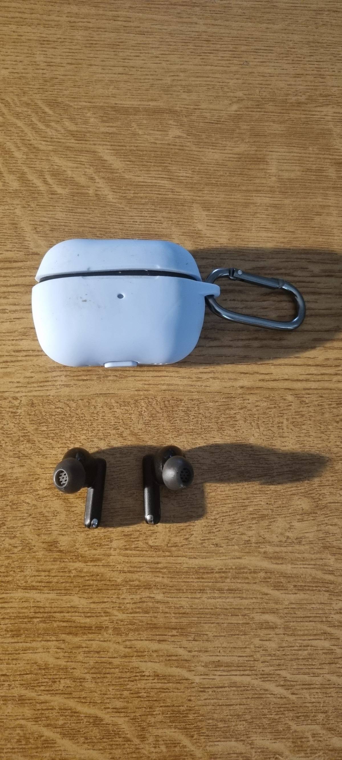 Za zbrojnicí se na polní cestě  potulovala bezdrátová sluchátka! Už jsou v bezpečí na úřadě. Majitel si je může vyzvednout v kanceláři OÚ. 🎧😄