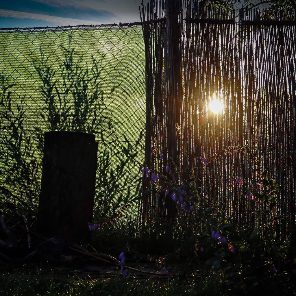 Těsně před vánocemi MŽP zveřejnilo po více než roce od veřejného projednání stanovisko k dopadům stavby tunelu na životní prostředí. Toto "Závazné stanovisko" je do 15.1.2025 vyvěšeno na naší úřední desce. Pokud vás zaujalo, podívejte se i na materiály, které obec k tomuto tématu vyprodukovala.