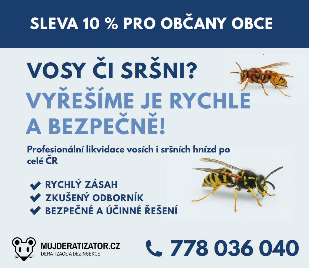 Profesionální likvidace vosích i sršních hnízd po celé ČR