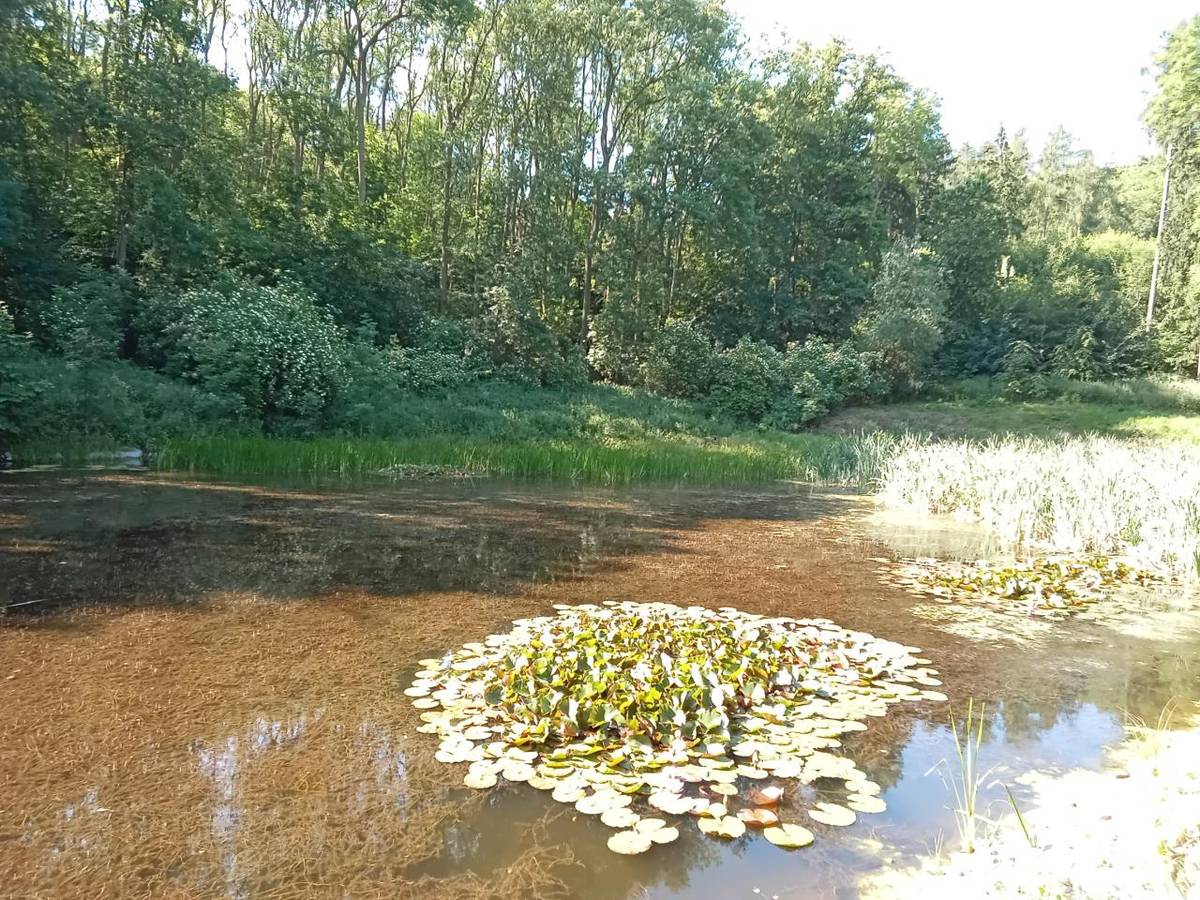 Naučná stezka Březina Kostomlaty pod Milešovkou