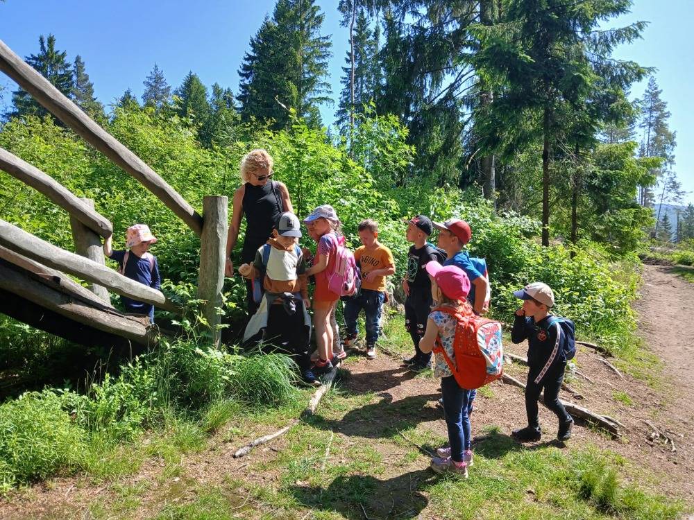 Výlet na Srní na Mravenčí stezku.