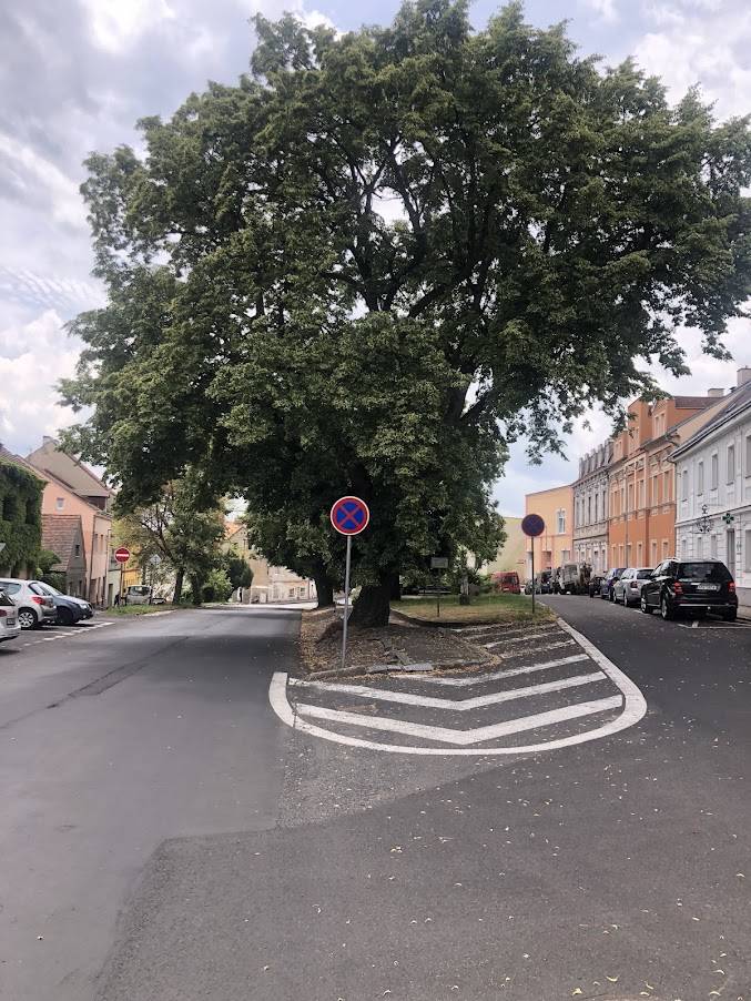 Upozorňujeme řidiče na nově nainstalované dopravní značky na Mírovém náměstí. Na hlavní silnici je v obou směrech osazen ZÁKAZ ZASTAVENÍ. Děkujeme za respektování tohoto značení.