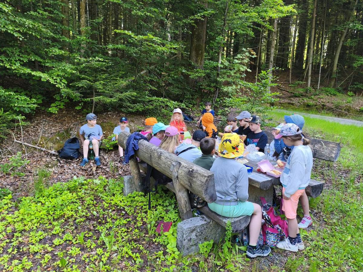 Exkurze školy do Neuschonau.