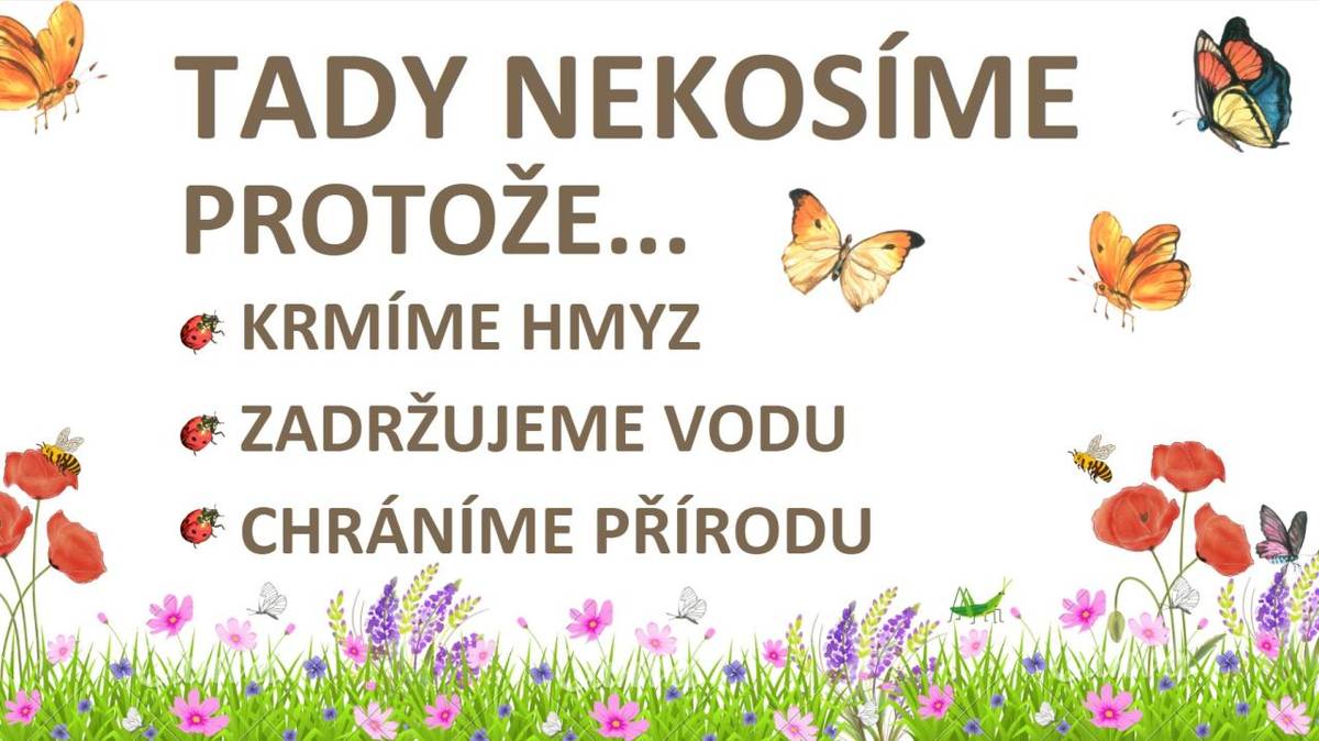 Mozaiková seč na vybraných plochách v obcích Hřivice, Markvarec, Touchovice.