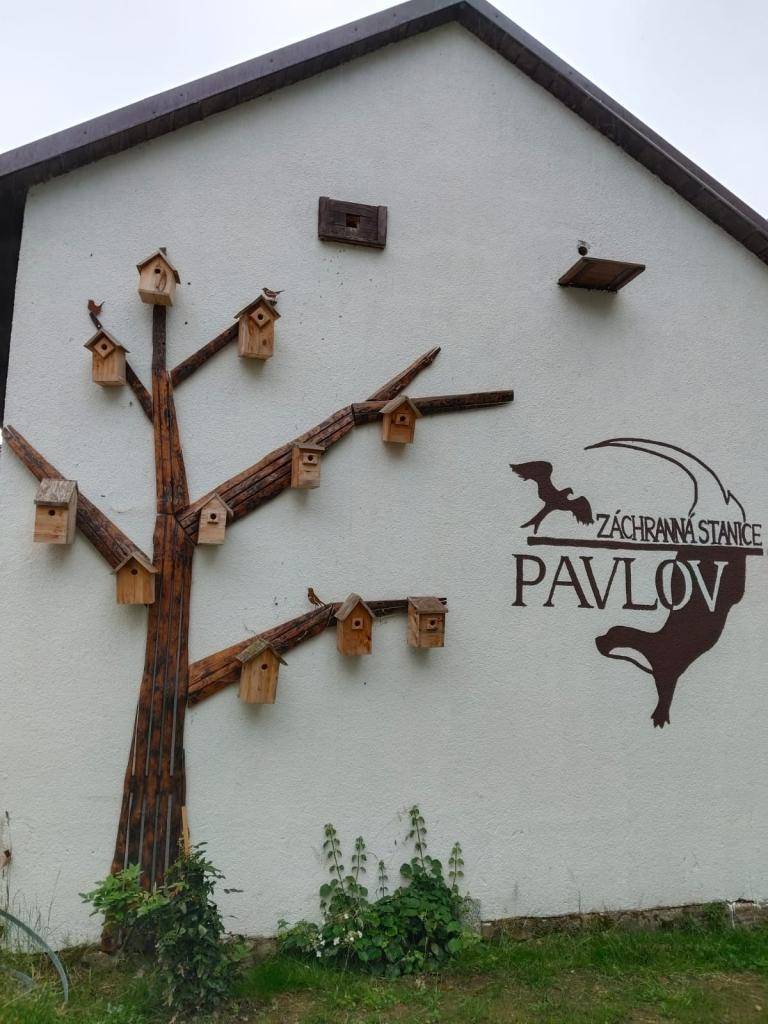 putování za zachráněnými zvířátky