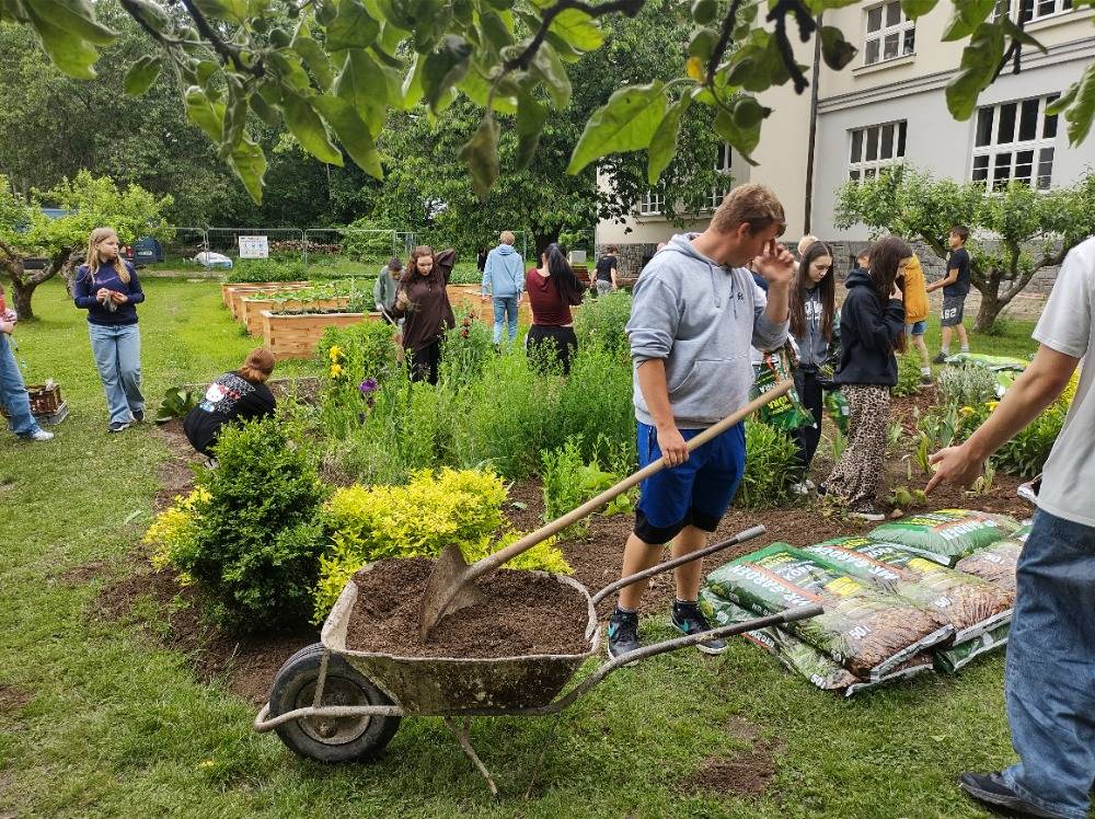 Budování květinového záhonu a sklizeň hrášku