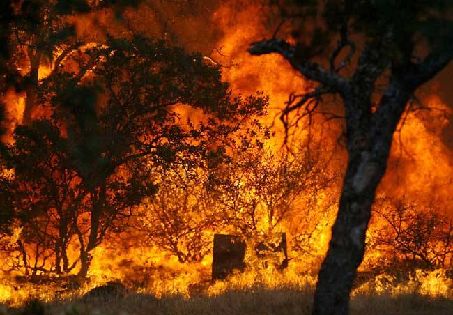 Vyhlásenie času zvýšeného nebezpečenstva vzniku požiarov od 26.06.2025 od 14.00 hod. do odvolania v územnom obvode okresov Považská Bystrica a Púchov.