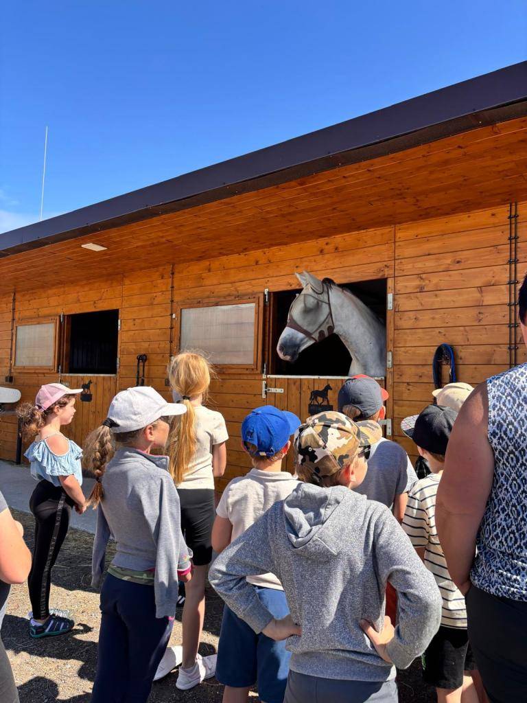 Výlet za zvířátky.