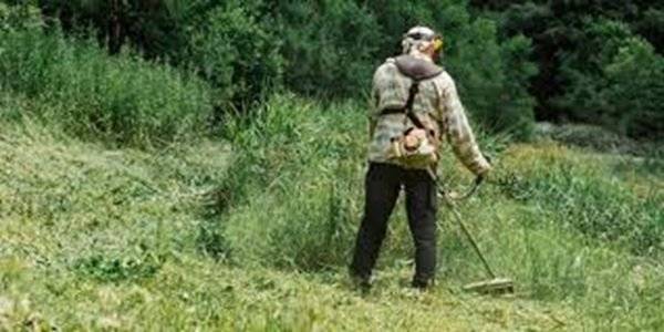 Obec Stožok, zastúpená starostkou obce Bc. Darinou Petrincovou Vás upozorňuje na dôsledné ustanovenia § 3 ods. 1, písm. b) zákona č. 220/2004 Z. z. o ochrane a využívaní poľnohospodárskej pôdy v znení neskorších predpisov, ktorý ukladá vlastníkom, nájomcom a správcom poľnohospodárskej pôdy povinnosť predchádzať výskytu a šíreniu burín z neudržiavaných pozemkov na susedné pozemky. Podľa § 25 ods. 1 písm. b) zákona sa priestupku na úseku ochrany poľnohospodárskej pôdy dopustí ten, kto spôsobil svojou nečinnosťou zaburinenie poľnohospodárskeho pozemku alebo nepoľnohospodárskeho pozemku v blízkosti poľnohospodárskeho pozemku. Za priestupok podľa § 25, ods. 1 písm. b) zákona môže Okresný úrad Zvolen, Pozemkový a lesný odbor, uložiť pokutu až do 330 Eur. Upozorňuje na povinnosť každého vlastníka, nájomcu a správcu poľnohospodárskej pôdy vykonávať opatrenia zamerané na ochranu pred jej poškodením a degradáciou, ktorá vyplýva z § 3, ods. 1 písm. a) zákona č. 220/2004 Z.z.  Z uvedeného dôvodu Vás žiadame, aby ste pravidelne zabezpečovali odstránenie buriny a tráv na Vašom pozemku a jeho bezprostrednom okolí, to znamená, aby ste tieto plochy pravidelne kosili a čistili.