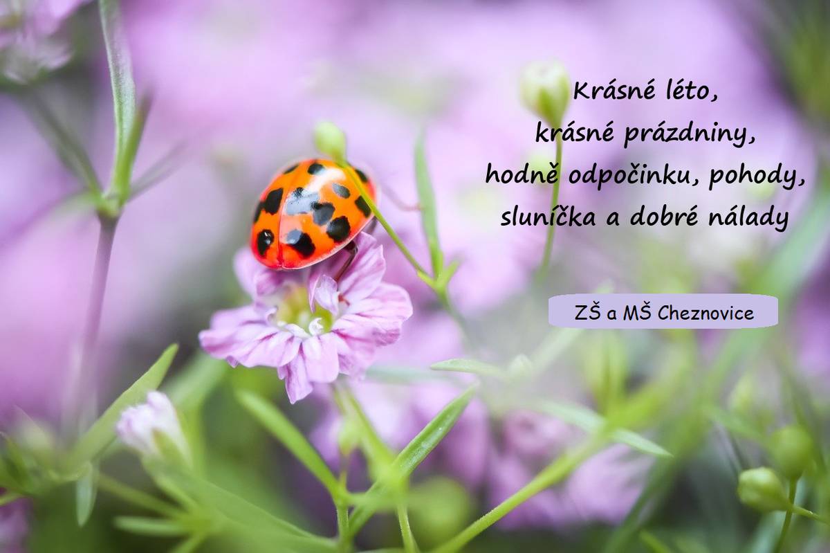 Základní škola a mateřská škola Cheznovice přeje všem dětem, žákům a rodičům krásné a odpočinkové prázdniny.