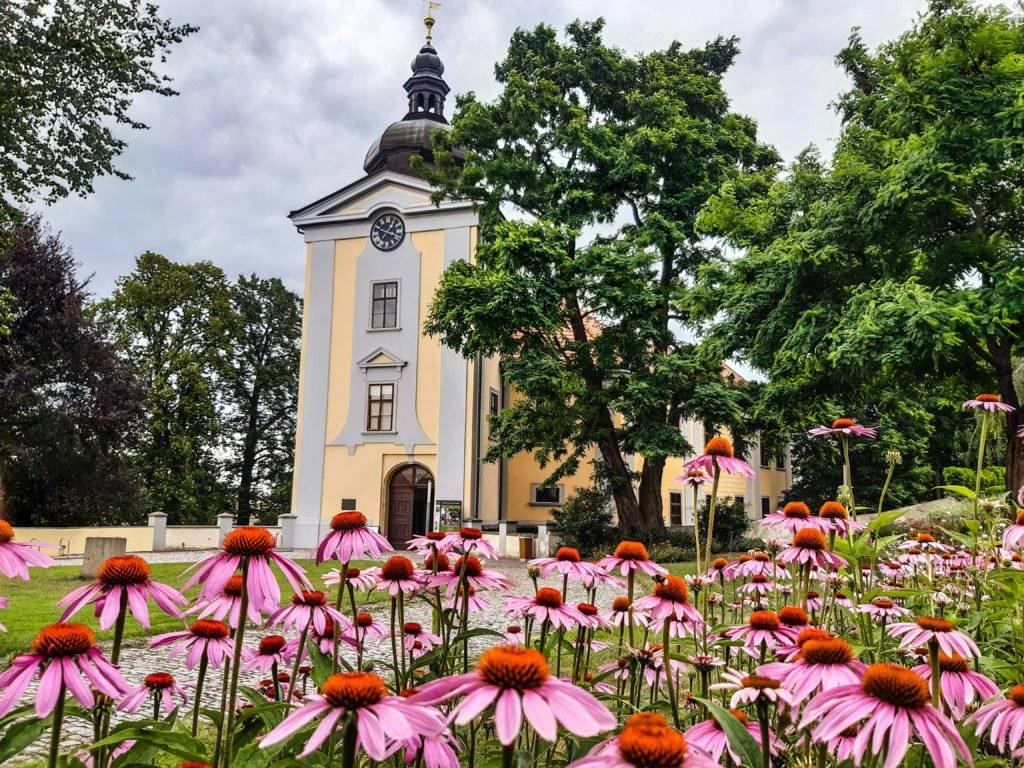 Tento víkend nás čekají prohlídky Křížem krážem ctěnickým zámkem.   V letošním roce je to patrně jediná příležitost se podívat do běžně nepřístupných prostor.   Nezapomeňte baterku, mobil na fotky a hlavně dobrou náladu a zvídavé dotazy s sebou.     Čeká na Vás gotické sklepení, klasicistní půda nebo barokní krov. Uvidíte nejkrásnější pohled na zámecké nádvoří a dozvíte se mnoho zajímavých informací.     Kdy? 5. a 6. července vždy v 11.00 a 15.00.     Lístky je možné koupit přímo na místě nebo v předprodeji na muzeumprahy.cz, kapacita prohlídky je omezená!