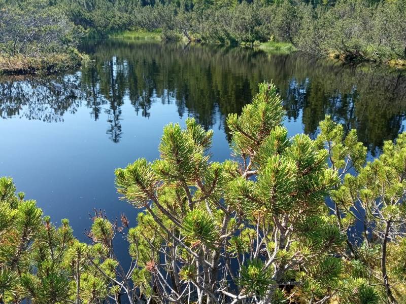 25. června 2025 se 5 členek Fit senioru Drahlín účastnilo výletu na Šumavu.