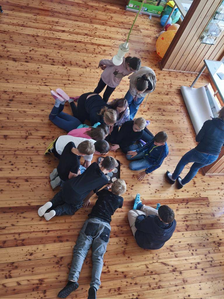 Žáci 3. A, 3. B, 4. třídy a 5. AB navštívili Enviromentální centrum Krsy.   Žáci plnili zážitkové aktivity spjaté s přírodou.