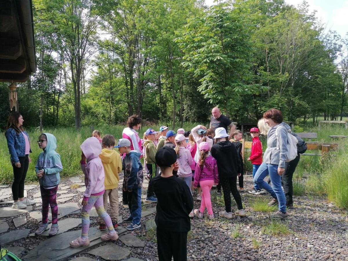 Žáci 1. A a 1. B vyrazili 11. 6. do Přírodní rezervace Rokycany.   V rezervaci viěli divoká zvířata - zubry, jeleny, divoké koně a dozvěděli se spoustu zajímavostí - např. o kuňce zlatobřiché.