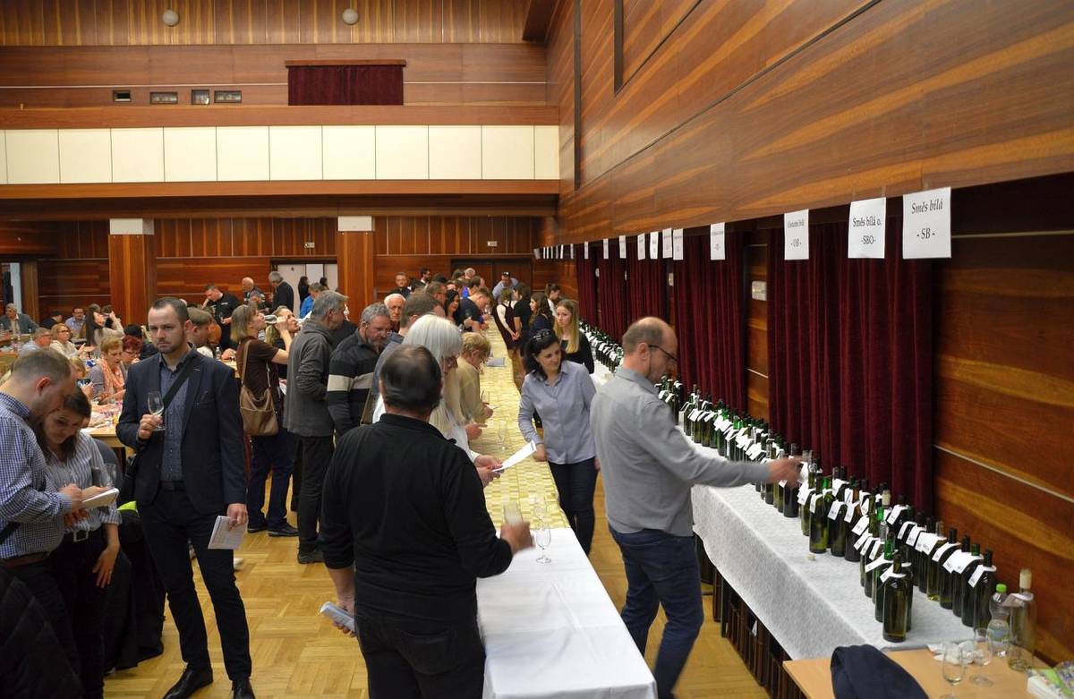 V sobotu 19. 3. proběhl 42. Josefovský košt vín. Po dvouroční kovidové pauze se místní kulturák opět zcela zaplnil milovníky vín, pro které místní vinaři připravili 214 bílých, 57 červených a 9 rosé vzorků. K poslechu hrála CM Burčáci.