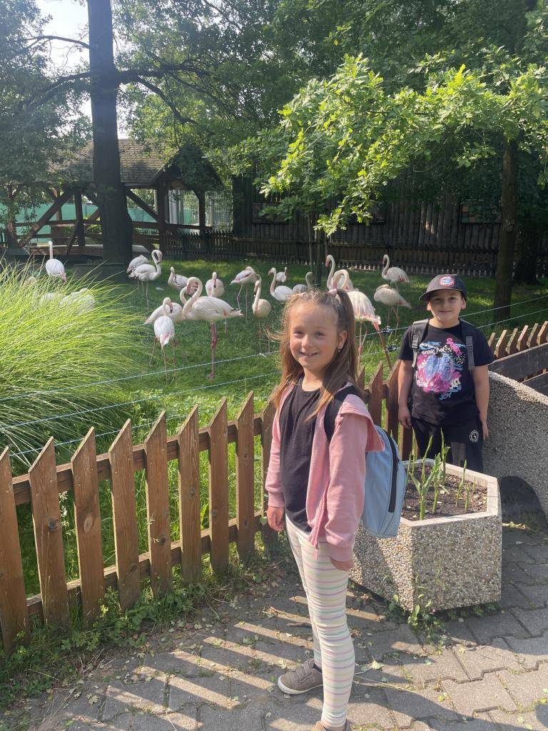 Přiblížil se konec školního roku a s ním nastal čas školních výletů. Opravdu moc jsme se všichni těšili.    Tentokrát jsme jeli společně s první a třetí třídou.