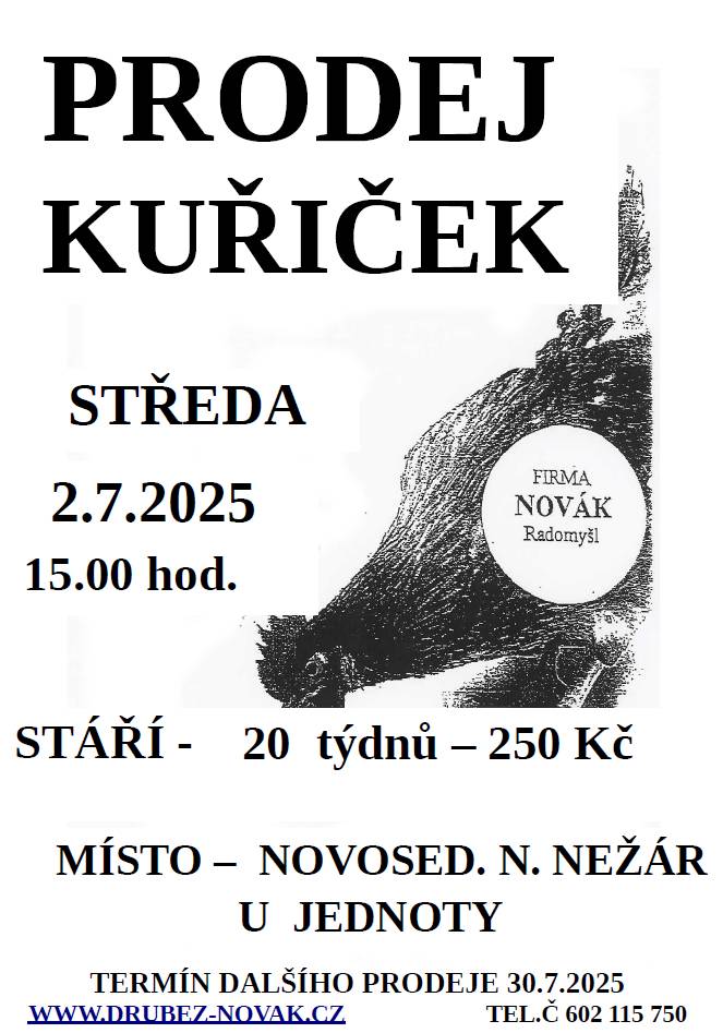 Prodej kuřiček