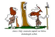 Lovci mamutů… Zánik