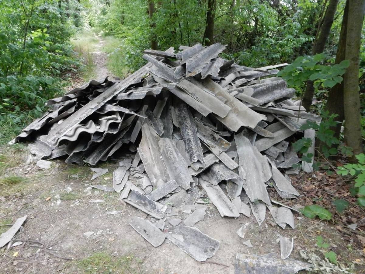 Neznámý pachatel založil pravděpodobně z pondělí 23.6. na úterý 24.6. „Na skalkách“ u cesty k lesu na Římovice černou skládku nebezpečného odpadu z eternitu. Žádáme tímto naše občany o pomoc při pátrání po tomto nezodpovědném pachateli. Uvítáme jakoukoli informaci: 770 197 570.