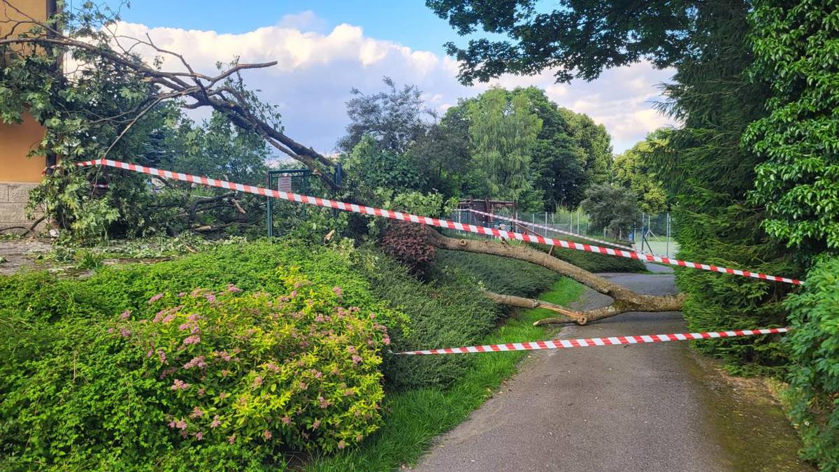 Z důvodu pádu části vzrostlého stromu u hřiště u ZŠ Vás žádáme, abyste v následujících dnech nevstupovali ani nepouštěli děti do tohoto prostoru. Druhá část stromu není v dobrém stavu a představuje riziko.