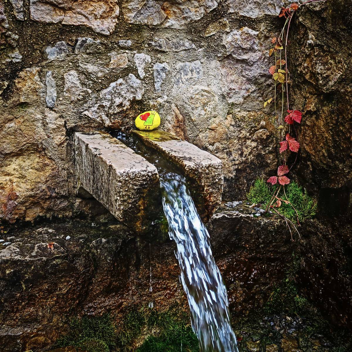 Vážení občané,  jistě i vy vnímáte  zvyšující se teploty a  snižující se zásoby podzemní vody, na které jsme mnozí závislí. Vzhledem k trvajícímu období zvýšených nároků na odběry pitné vody Vás společně s firmou Vodovody a kanalizace Beroun, a.s. žádáme o šetření vodou z veřejného vodovodu. Tato voda není určena pro plnění bazénů, zálivky, mytí aut apod., je primárně určena pro zásobování obyvatelstva pitnou vodou a jejího využití k hygieně. Při nadlimitních spotřebách, převyšujících možnosti vodního zdroje a navrhovanou kapacitu zásoby vodojemu a vodovodní sítě může docházet k omezení dodávek vody v některých částech sítě. V případě delších výpadků dodávek vody, bude zajištěno náhradní zásobování přistavenými nebo projíždějícími cisternami. O takové situaci budeme vždy aktuálně informovat prostřednictvím webových stránek obce a VAK Beroun. Děkujeme za pochopení a dodržování uvedeného nařízení. Zároveň  prosím o  dodržování zákazu rozdělávání ohňů.   Jiří Bouček Starosta obce   Kontakty pro další informace: Vodovody a kanalizace Beroun, a.s. Mostníkovská 255, 266 41  Beroun Tel.: 311 747 111 Zelená linka 800 100 663 www.vakberoun.cz