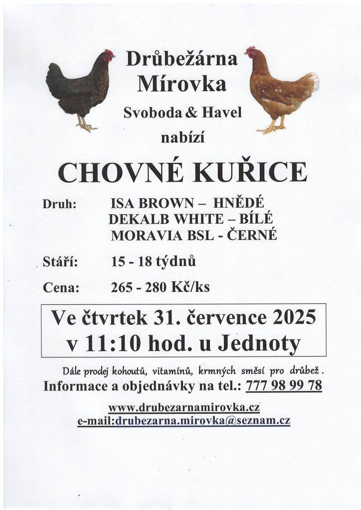 Drůbežárna Mírovka nabízí chovné kuřice různých plemen, včetně hnědých, bílých a černých. Kuřice jsou ve stáří 15-18 týdnů a cena se pohybuje mezi 265 - 280 Kč za kus. Prodej se uskuteční ve čtvrtek 31.7.2025 v 11:10 u obchodu v Čachovicích.