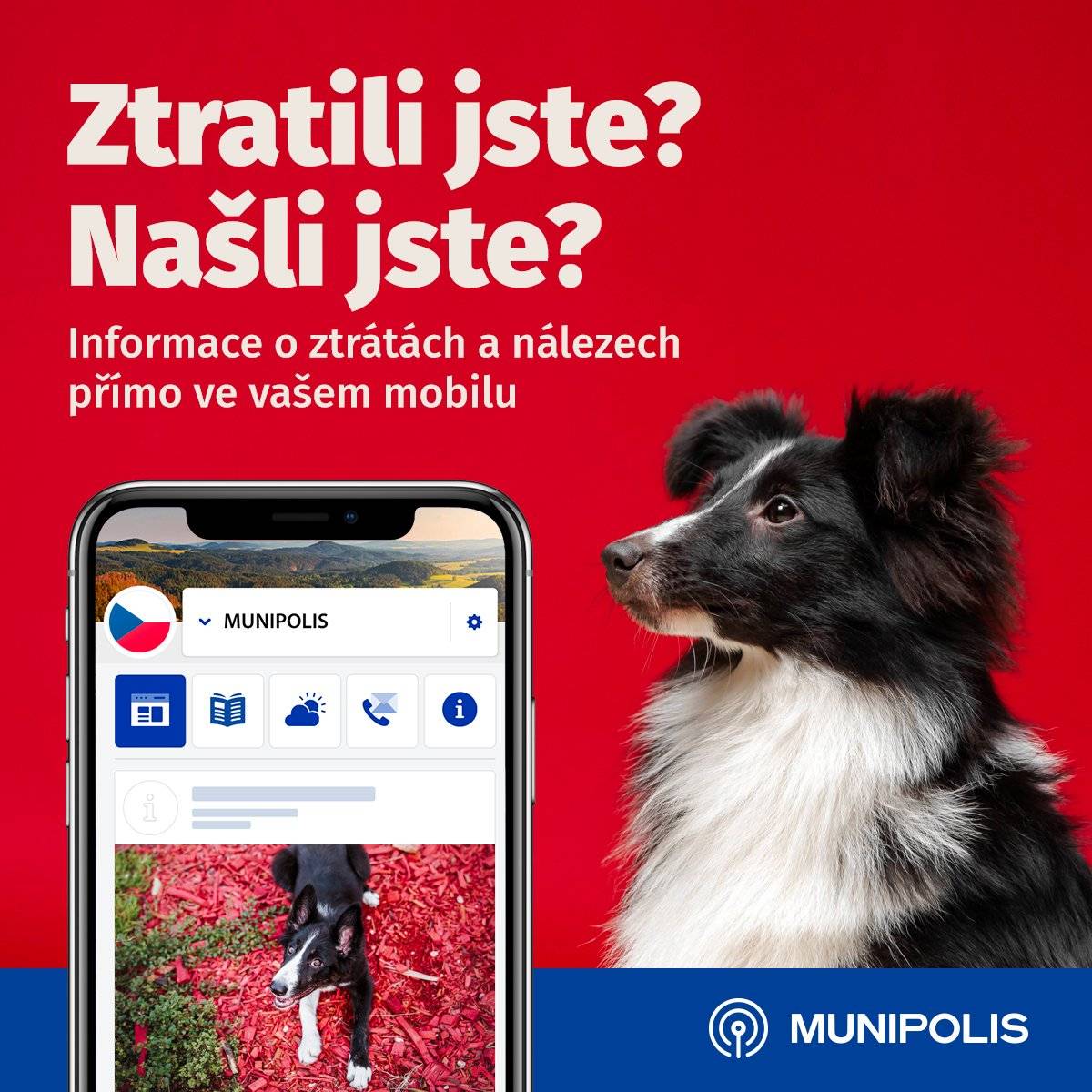 Ve ztrátách a nálezech můžete informovat o ztracených věcech (např. klíče, tašky, mobilní telefony) a domácích mazlíčcích nebo o nálezech, které by mohly být vráceny jejich majitelům.