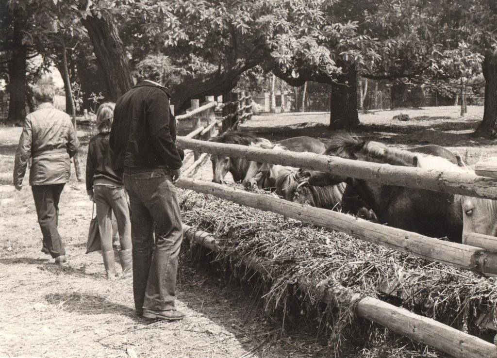 Chomutováci, prolistujte svá domácí fotoalba, proberte šuplíky a pomozte nám vytvořit výstavu k 50. výročí založení Zooparku Chomutov. Chodili jste v 70., 80. a 90. letech do tehdy lesoparku jako návštěvníci? Pracovali jste v lesoparku? Pomáhali jste lesopark v 70. letech budovat v rámci Akce Z? A máte fotky – nebo jiné historické upomínkové předměty? A mohli bychom je vidět? Pomozte nám vytvořit unikátní výstavu mapující historii Zooparku Chomutov. Do 17. srpna pošlete naskenované fotky na e-mail z.vavrinova@chomutov.cz nebo s fotkami či s historickými upomínkovými předměty přijďte do Městského informačního centra, kde si je sami nafotíme.