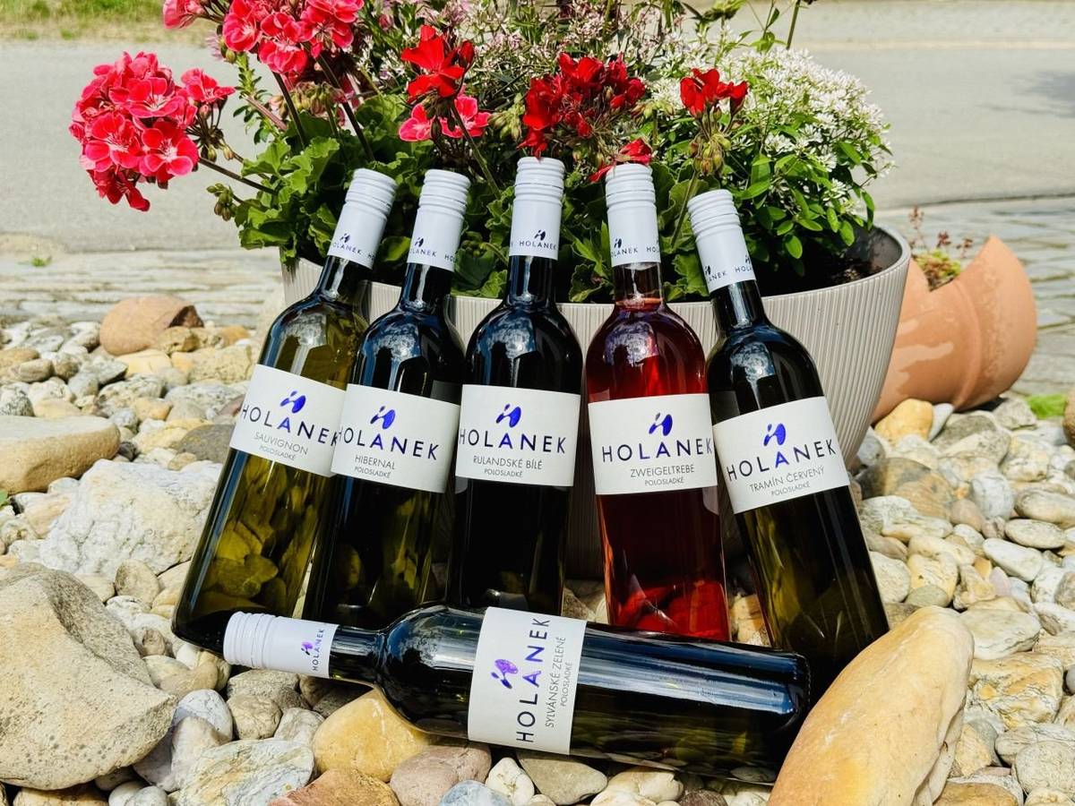 Vinařství Holánek přijede v pátek 18.07. s pojízdnou vinotékou.Tento týden přiveze v akci polosladké Rulandské bílé za 160,-Kč, polosuchý Muškát moravský za 100,-Kč, akční kartony Prázdniny sladké za 915,-Kč, Prázdniny suché za 840,-Kč, Prázdniny mix za 870,-Kč, vína sudová 80-90 Kč/litr, vína lahvová výběr z hroznů, pozdní sběr 150-250 Kč. Vinotéka bude stát od 14:40  -  14:55 u kulturního domu. Michal Drápela, starosta obce.