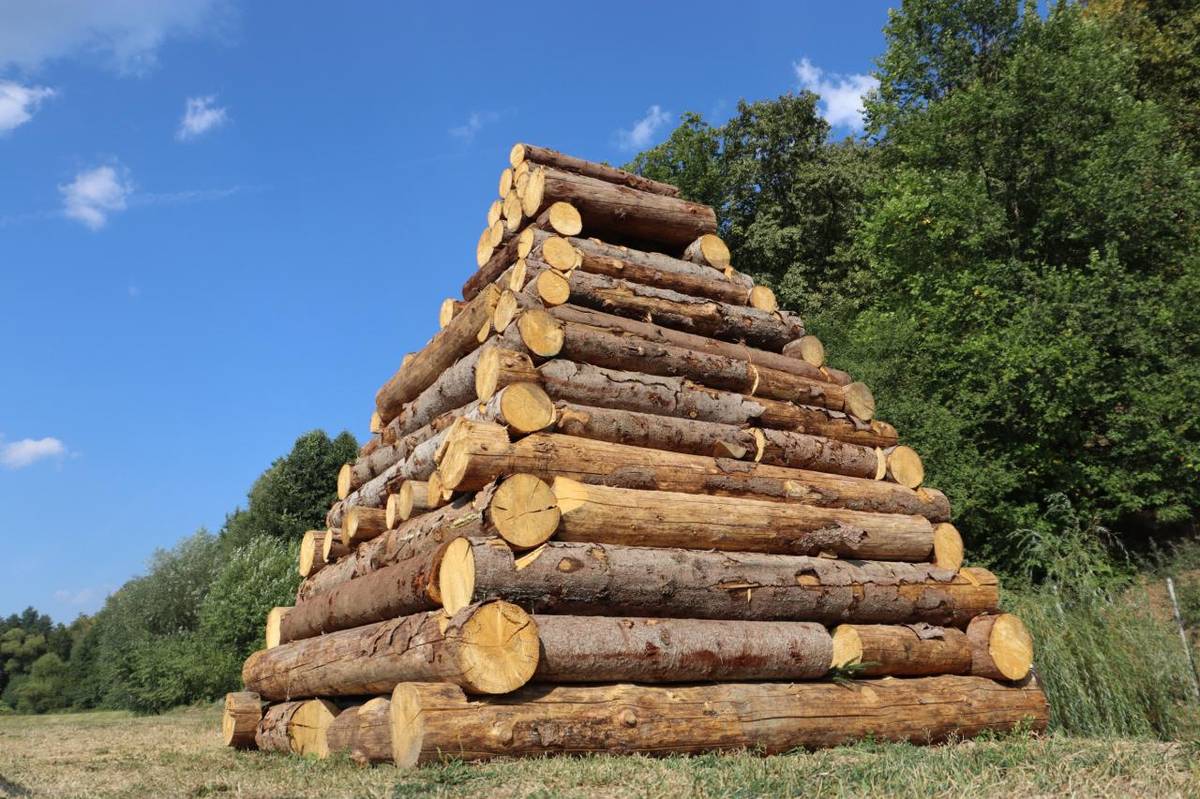 Obec České Brezovo Vás týmto pozýva na "Deň obce spojený s oslavami 81. výročia Oslavy SNP "na sobotu 30. augusta 2025, ktoré sa budú konať na športovom ihrisku v Českom Brezove.