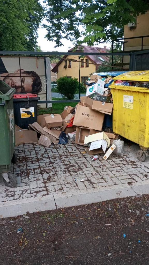Vážení sousedé,     většině z Vás je to jasné, ale pro ty ostatní, psí hovna do popelnice na plasty opravdu nepatří a dřevěné palety nejsou ani papír, plast nebo sklo.    Prosíme ukládejte do popelnic na tříděný odpad jen co tam patří a nedávejte nic vedle.