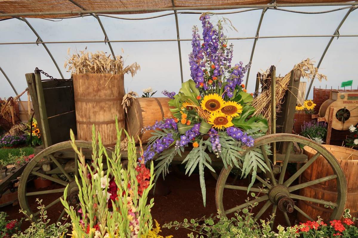 Výstava květin Čimelice 2025 se koná od 21.8. do 24.8.2025.  Srdečně Vás zveme na prohlídku úžasných květinových expozic, trhů a bohatého kulturního programu.