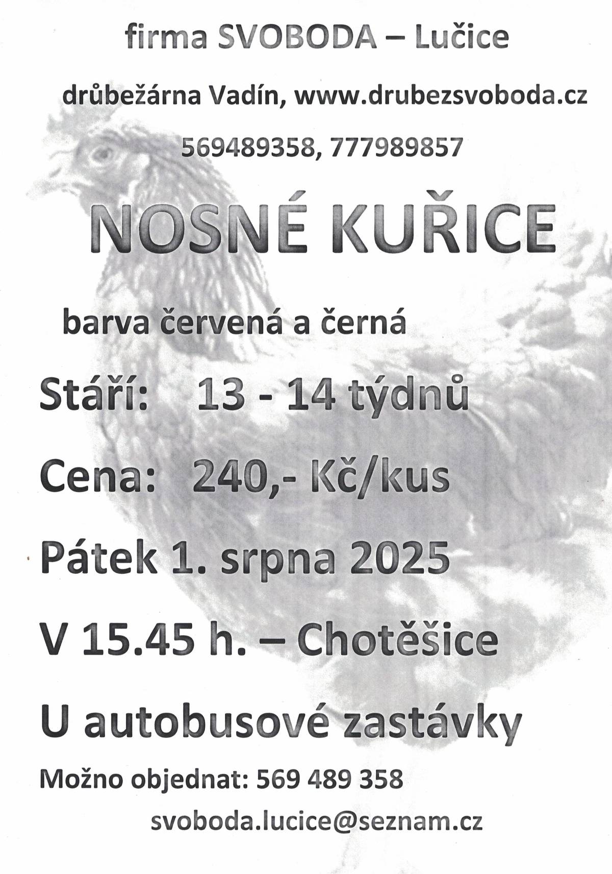 V pátek 1. 8. v 15.45 hod.  - u autobusové zastávky v Chotěšicích bude probíhat prodej nosných kuřic, stáří 13 - 14 týdnů, cena 240,-/kus.