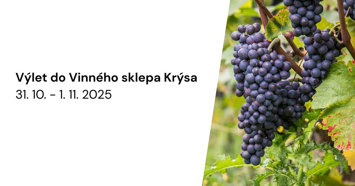 SDH Králova Lhota a OÚ Králova Lhota pro občany naší obce chystají dvoudenní výlet do vinného sklepa Krýsa. Přijímáme pouze závazné přihlášky zájemců o tento výlet s vratnou zálohou 500,-/osoba. Přihlásit se a uhradit tuto zálohu můžete na Obecním úřadě, nejpozději však do 3.8.2025. Záloha bude vrácena v autobusu během cesty. Občané si budou hradit ubytování vč. snídaně (890,-Kč/osoba na noc). Autobus bude hradit obec a SDH KL bude hradit celovečerní menu, včetně neomezené konzumace sudového vína, kávy, čaje a stolní vody. Odjezd autobusu a další informace zájemcům včas sdělíme.