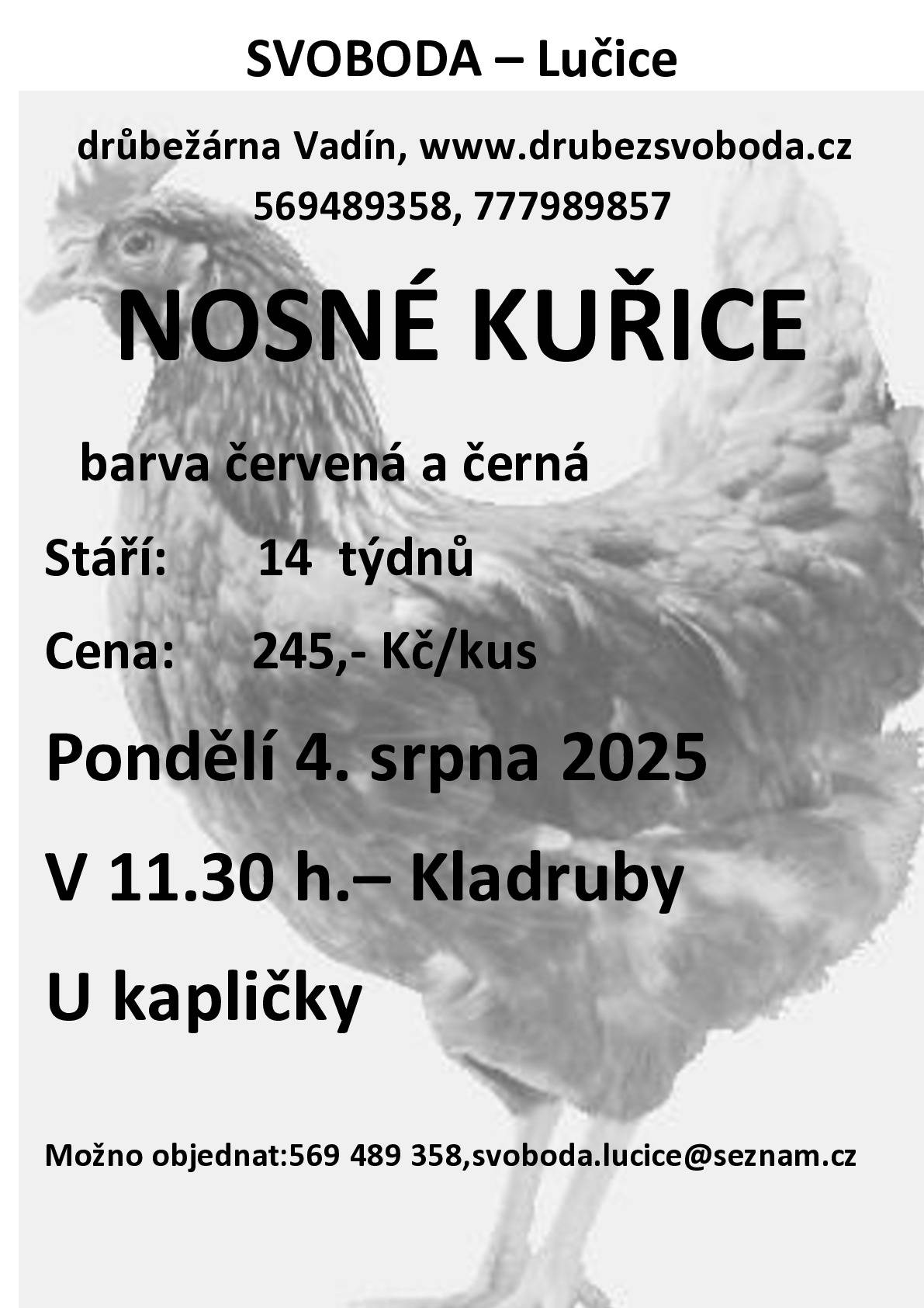 Firma Svoboda Lučice bude prodávat v pondělí 4. srpna 2025 v 11.30 hodin  u kapličky nosné kuřice, stáří 14 týdnů, cena 245,- Kč/kus .Objednání je možné na  tel. 569 489 358 nebo emailem svoboda.lucice@seznam.cz